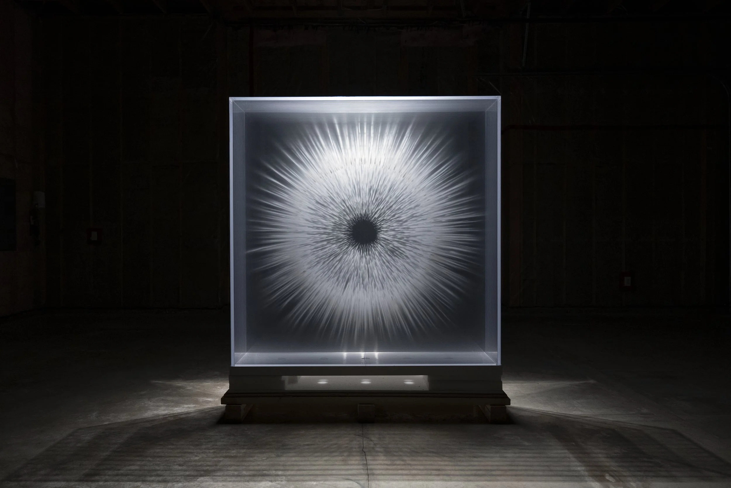 David Spriggs