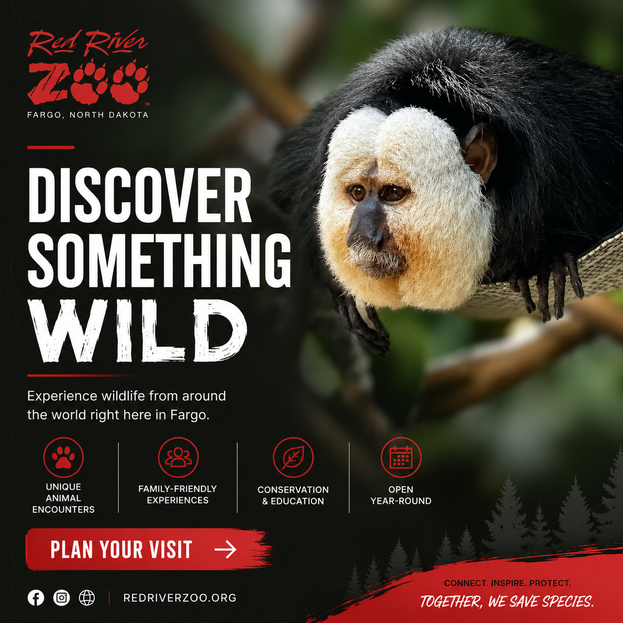 E54C03A8-507B-467E-A735-CB2160A05EB7.png
