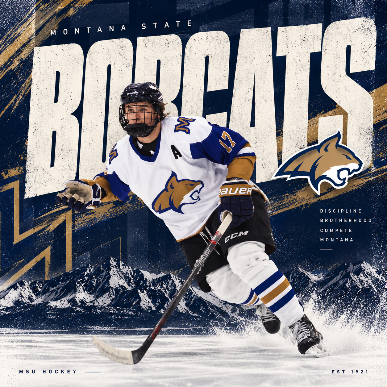 Sports Graphics