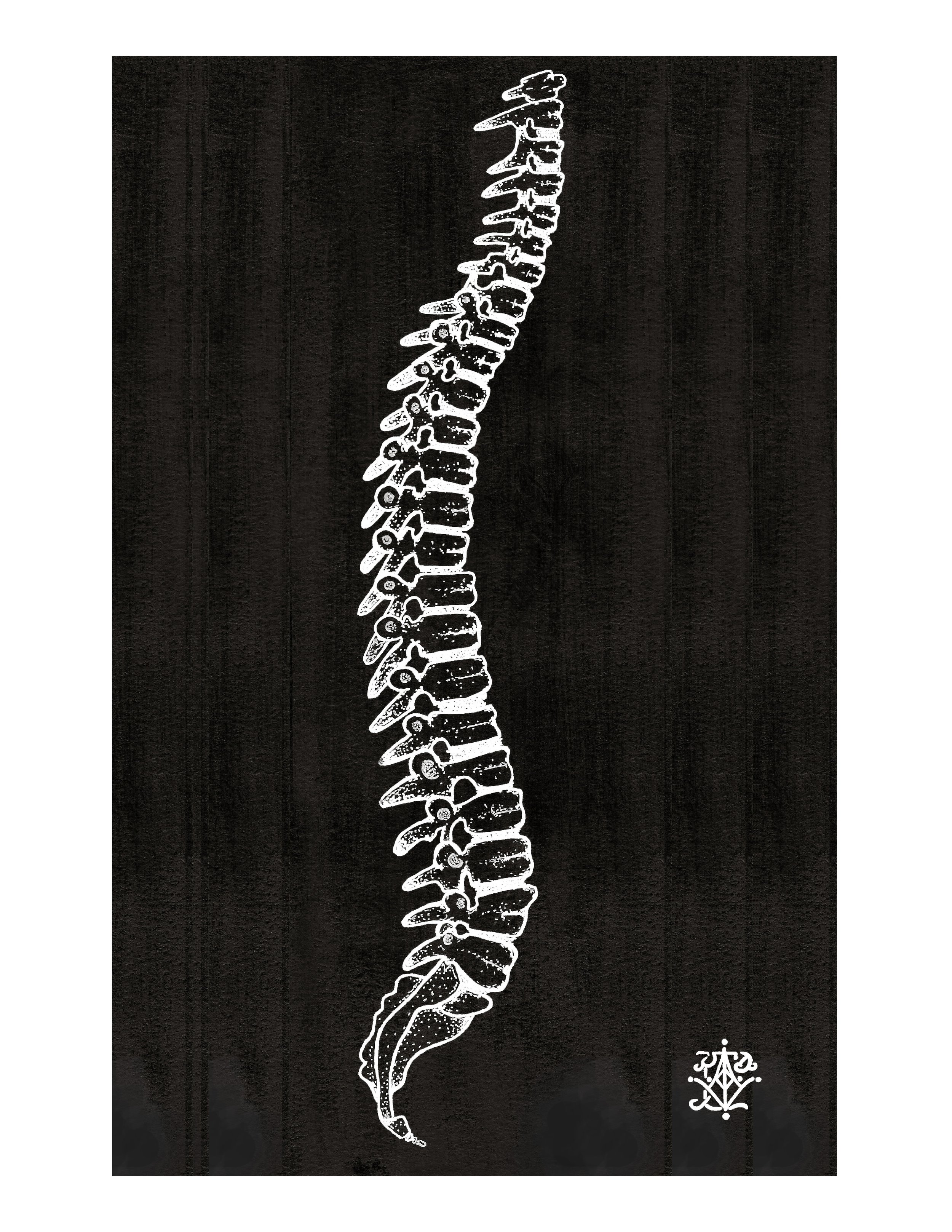 SpinePrint1.jpg