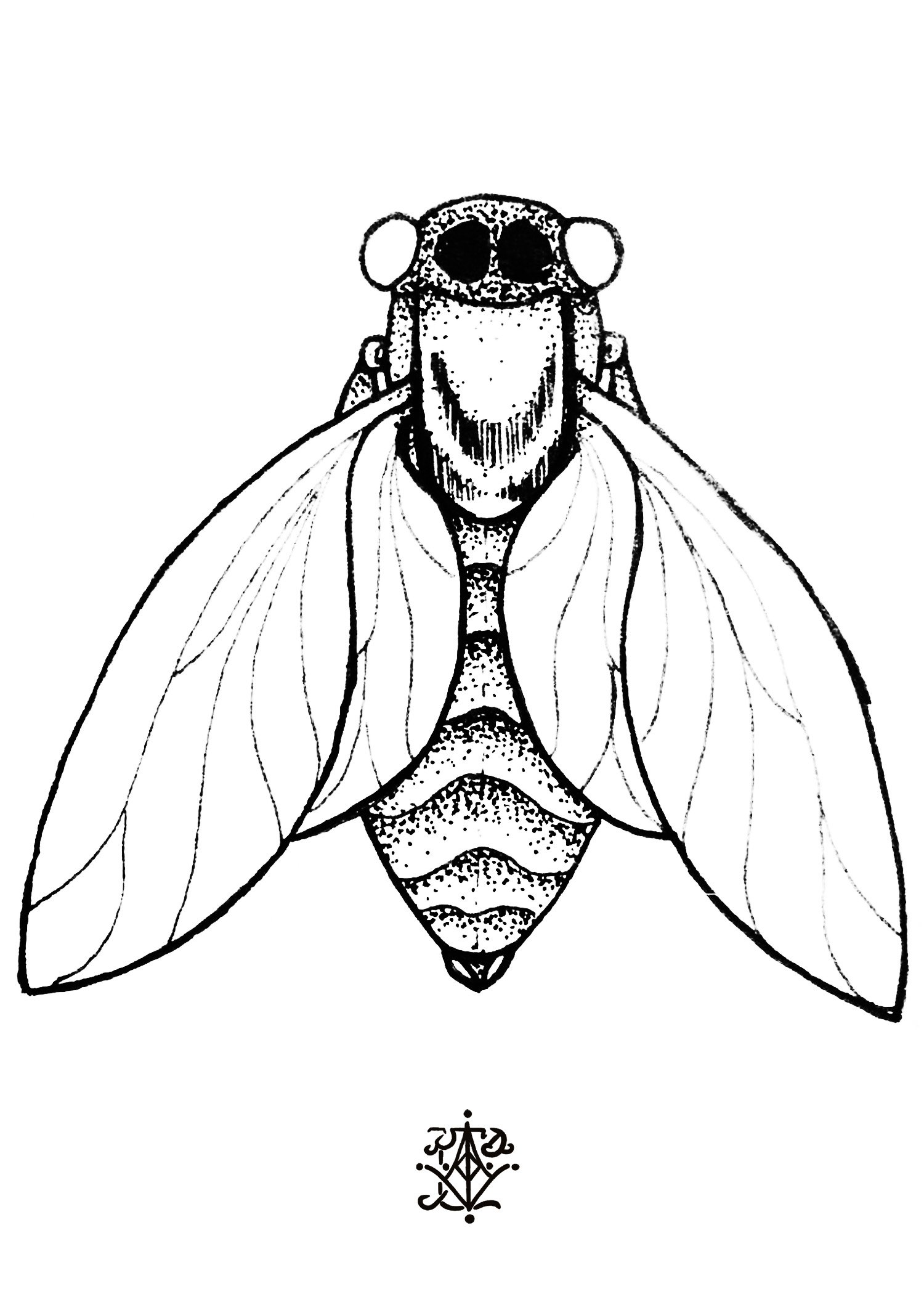 CicadaPrint5x7.jpg