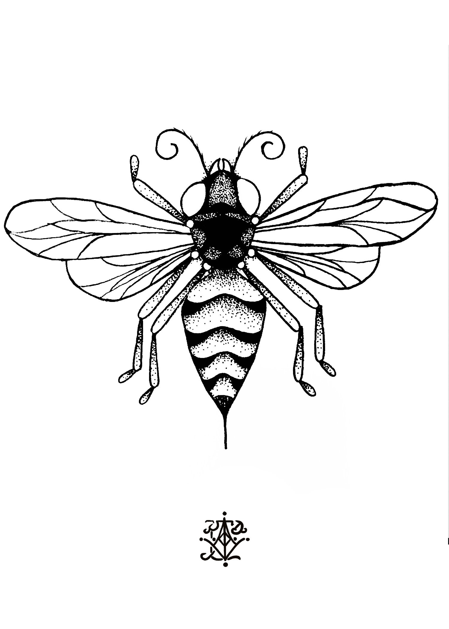 WaspPrint5x7.jpg