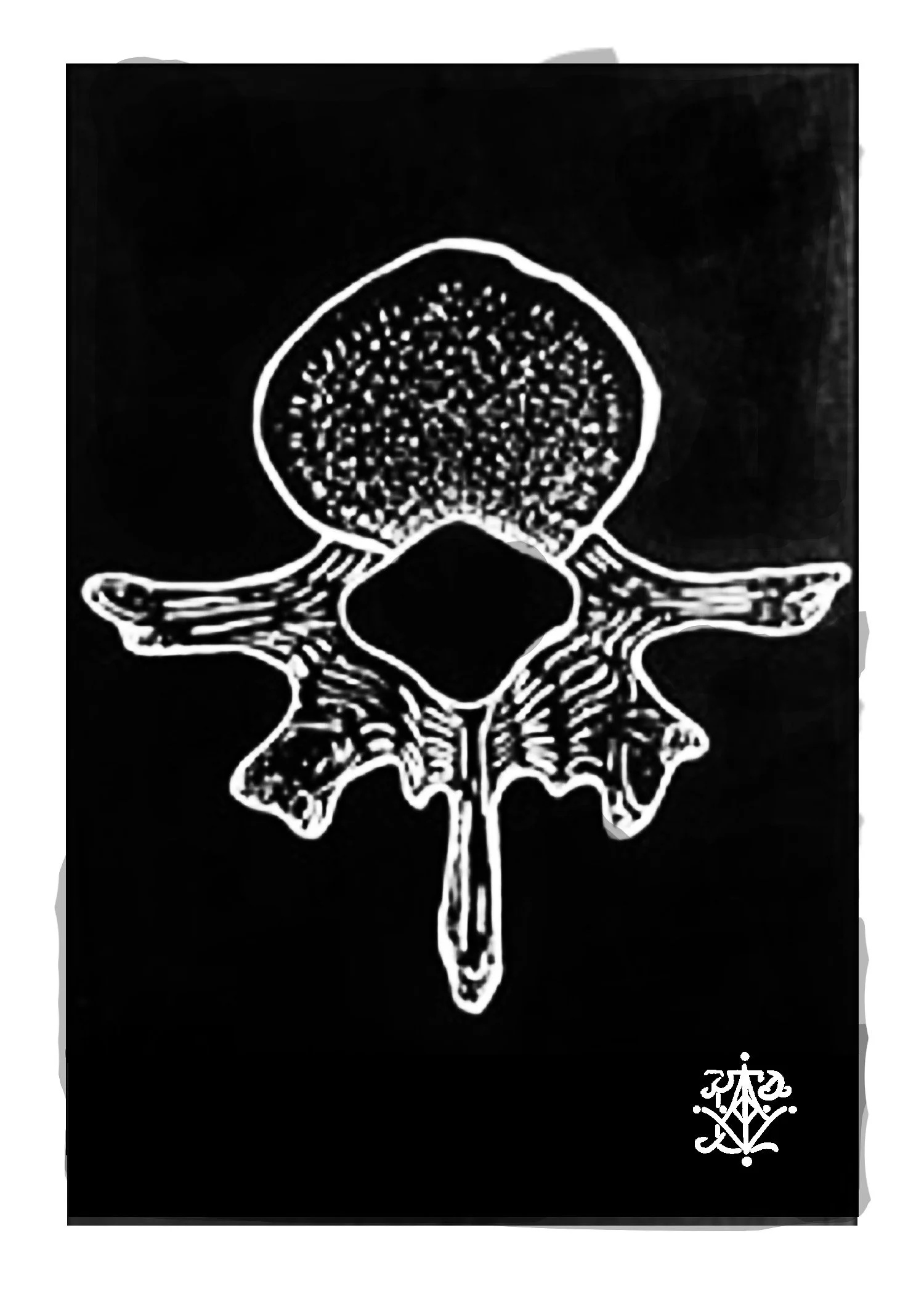 VertebraePrint5x7.jpg