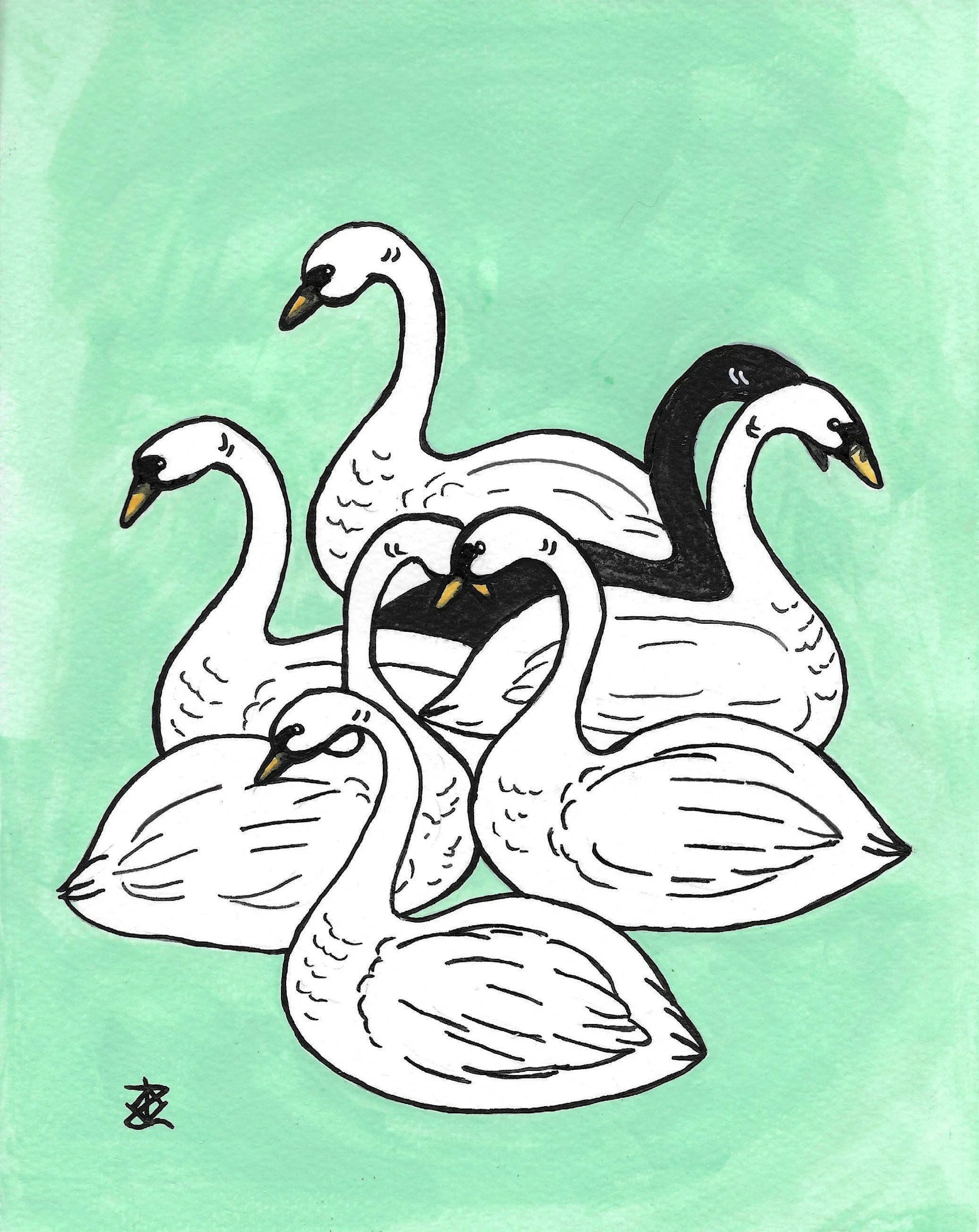 7 Swans a swimming.jpg