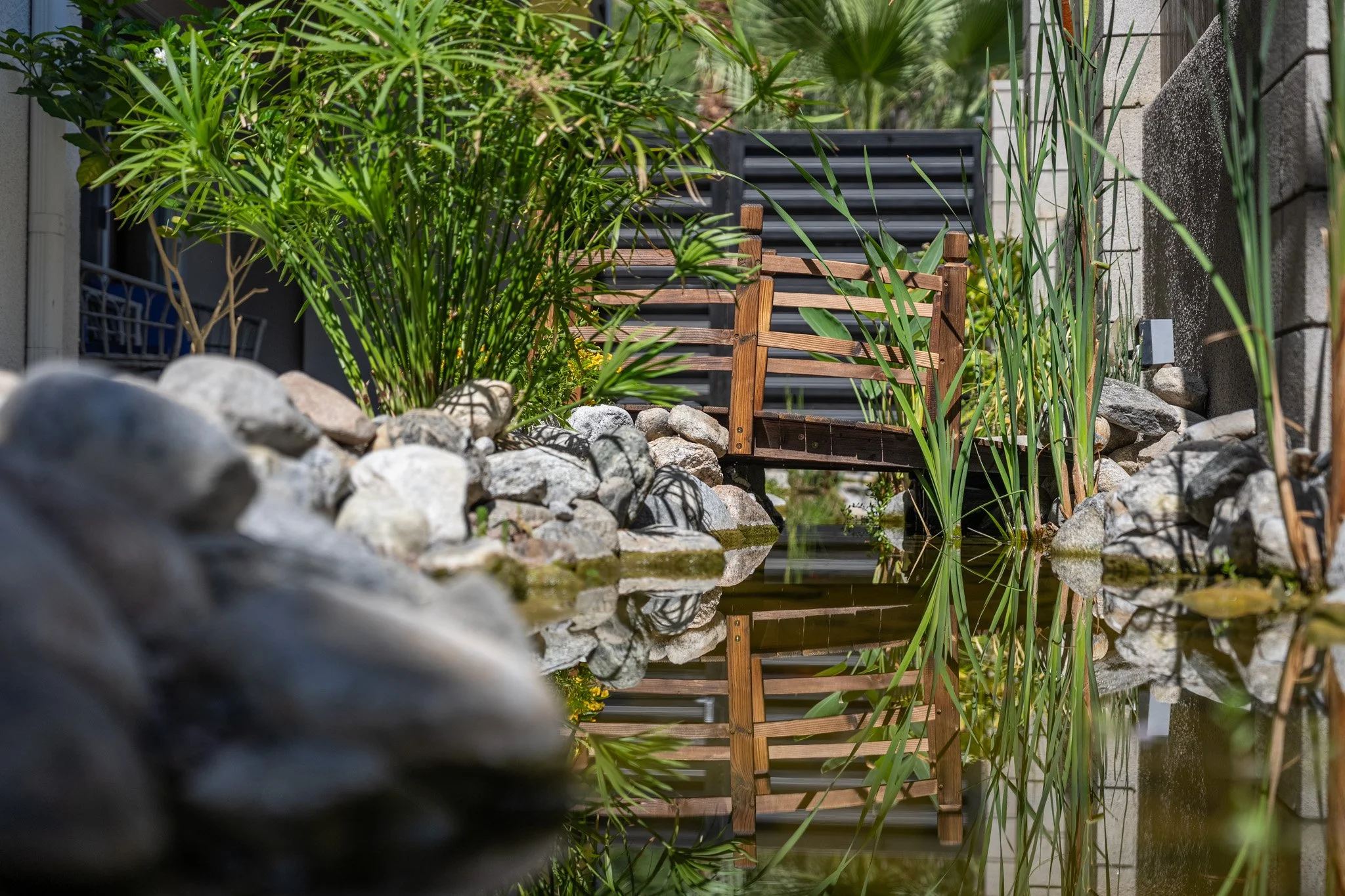 5 Palm Springs private waterfall yard.jpg
