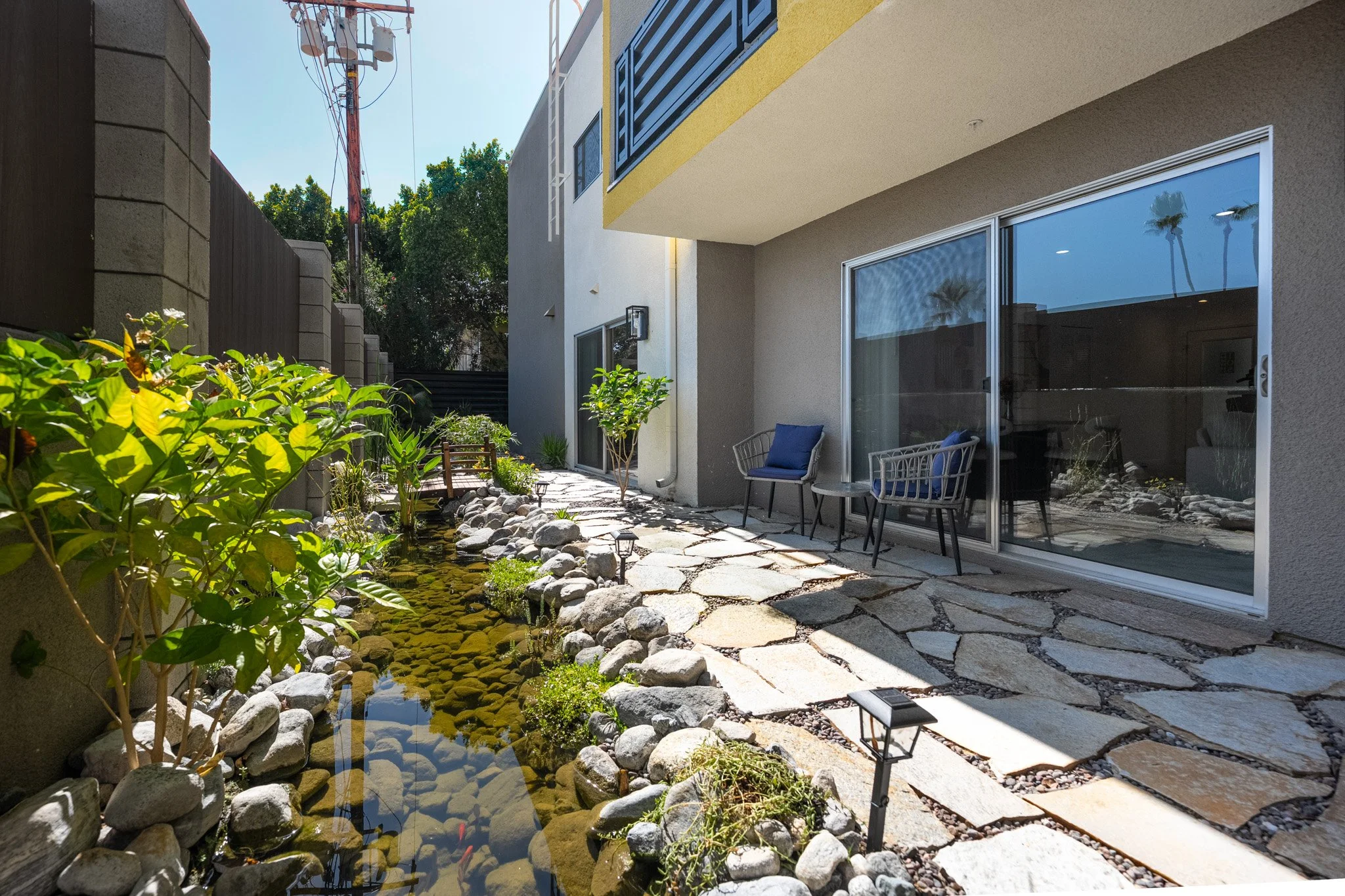4.lush backyard palms.jpg