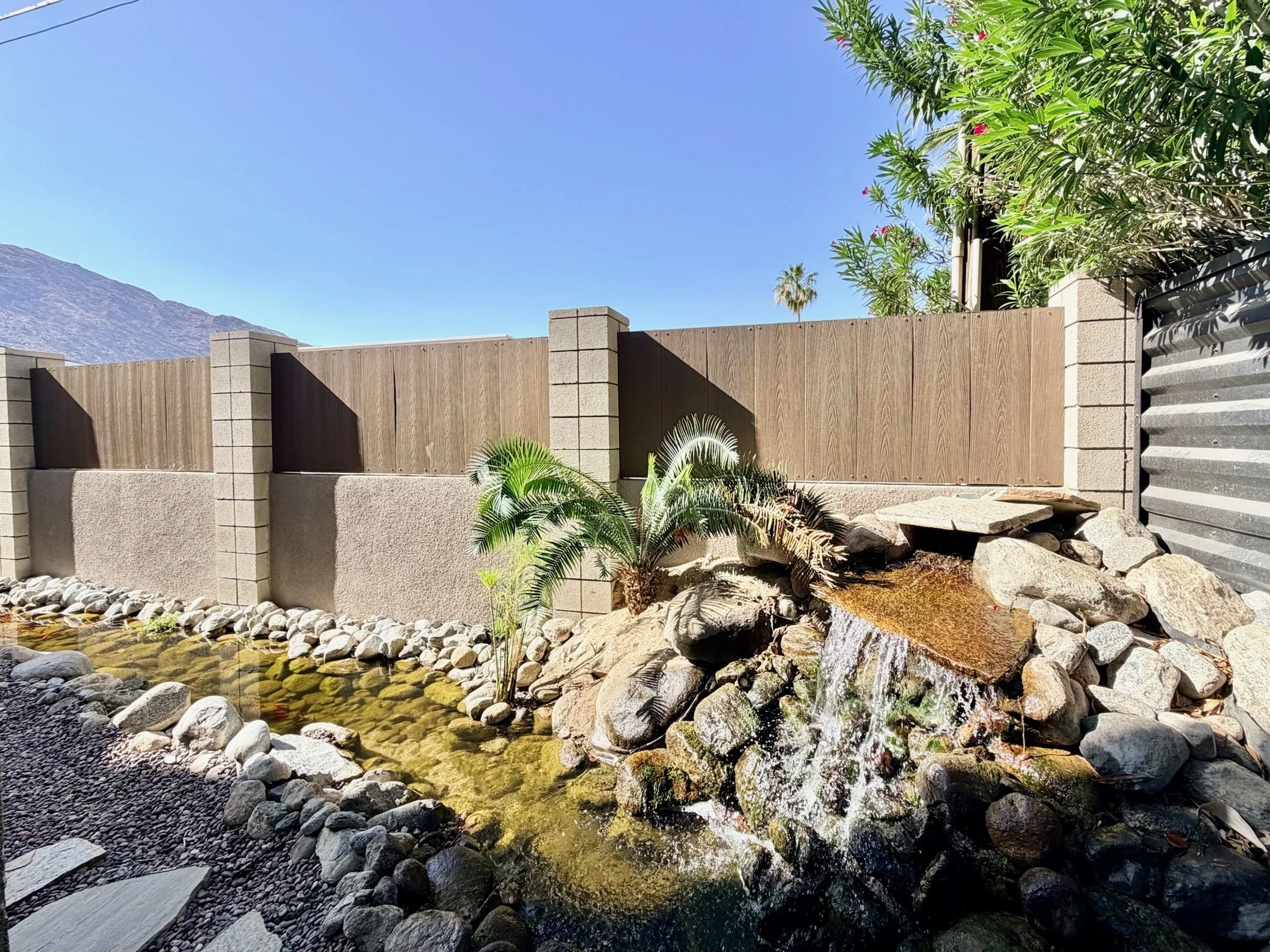 5 tranquil backyard setting.jpeg
