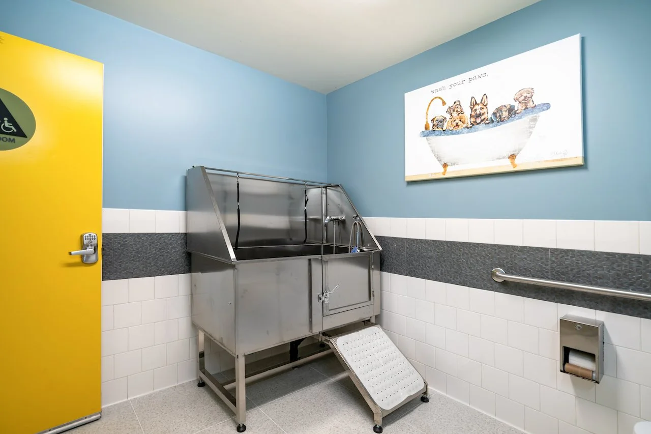 b64a6090-ae68-48e1-a44f-bf2e1aa62b35 - 025.jpg