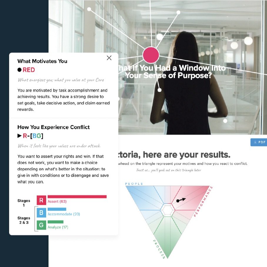 Strength Deployment Inventory® (SDI) Assessment & Personalized Debrief
