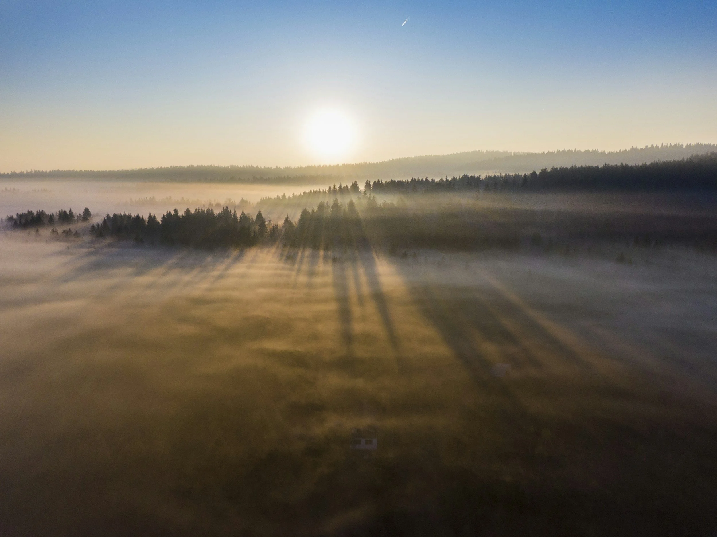 Circadian Rhythm: Your Body’s Master Clock (Part 2)