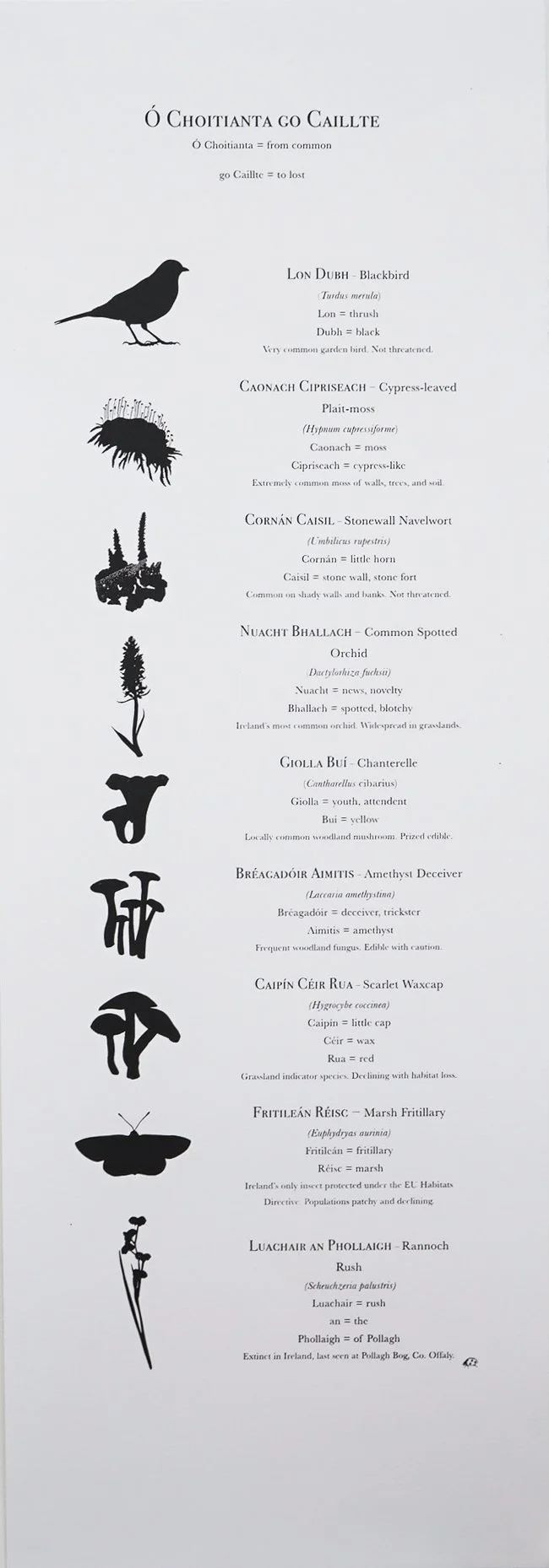 k5.jpg