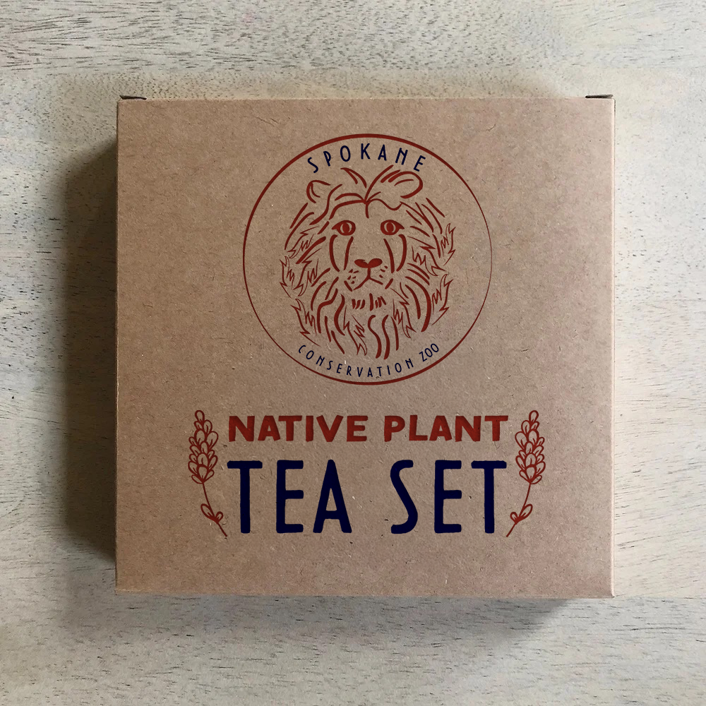 TeaSet_revised.png