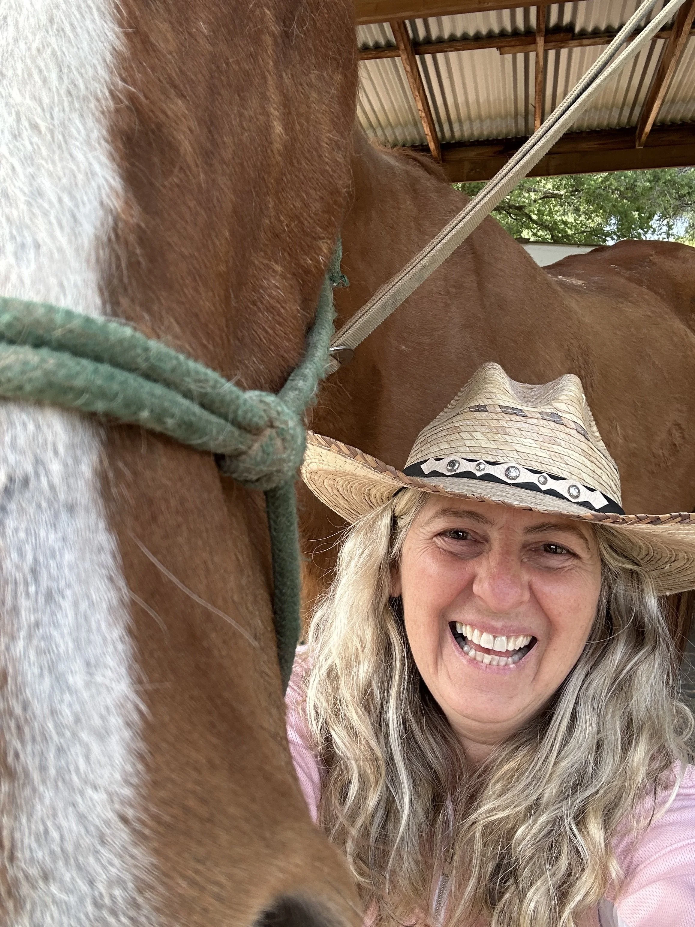 Beyond the boardroom: How horses and nature are redefining leadership