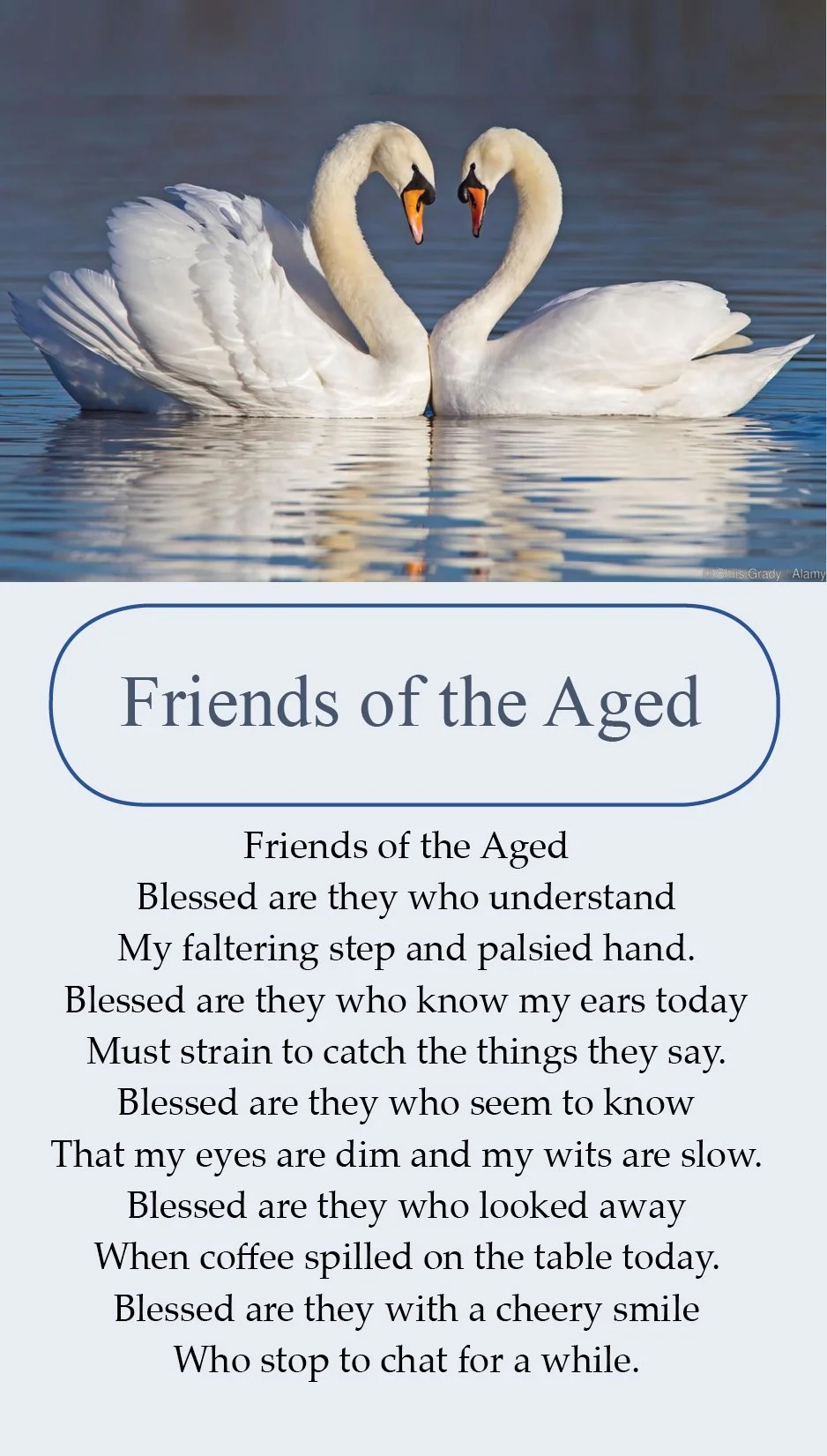Friends of the Aged #686