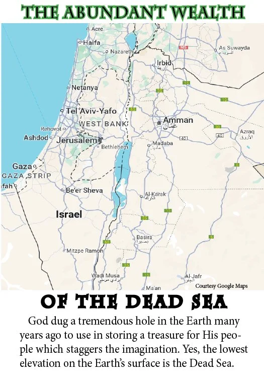 Abundant Wealth of the Dead Sea, The  #2007 WEB SIZE Pg1.jpg