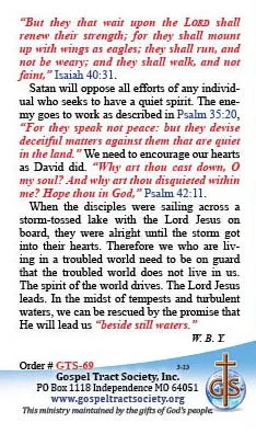 spiritual poise or the quiet spirit 69 pg 8.jpg
