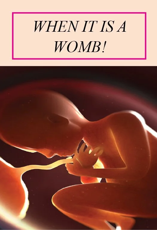 When is a Uterus Not A Uterus #1163 WEB SIZE Pg2.jpg