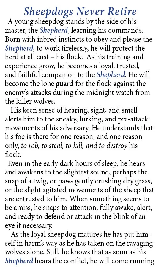 Sheepdogs Never Retire #1379 WEB SIZE Pg2.jpg