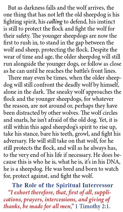 Sheepdogs Never Retire #1379 WEB SIZE Pg4.jpg