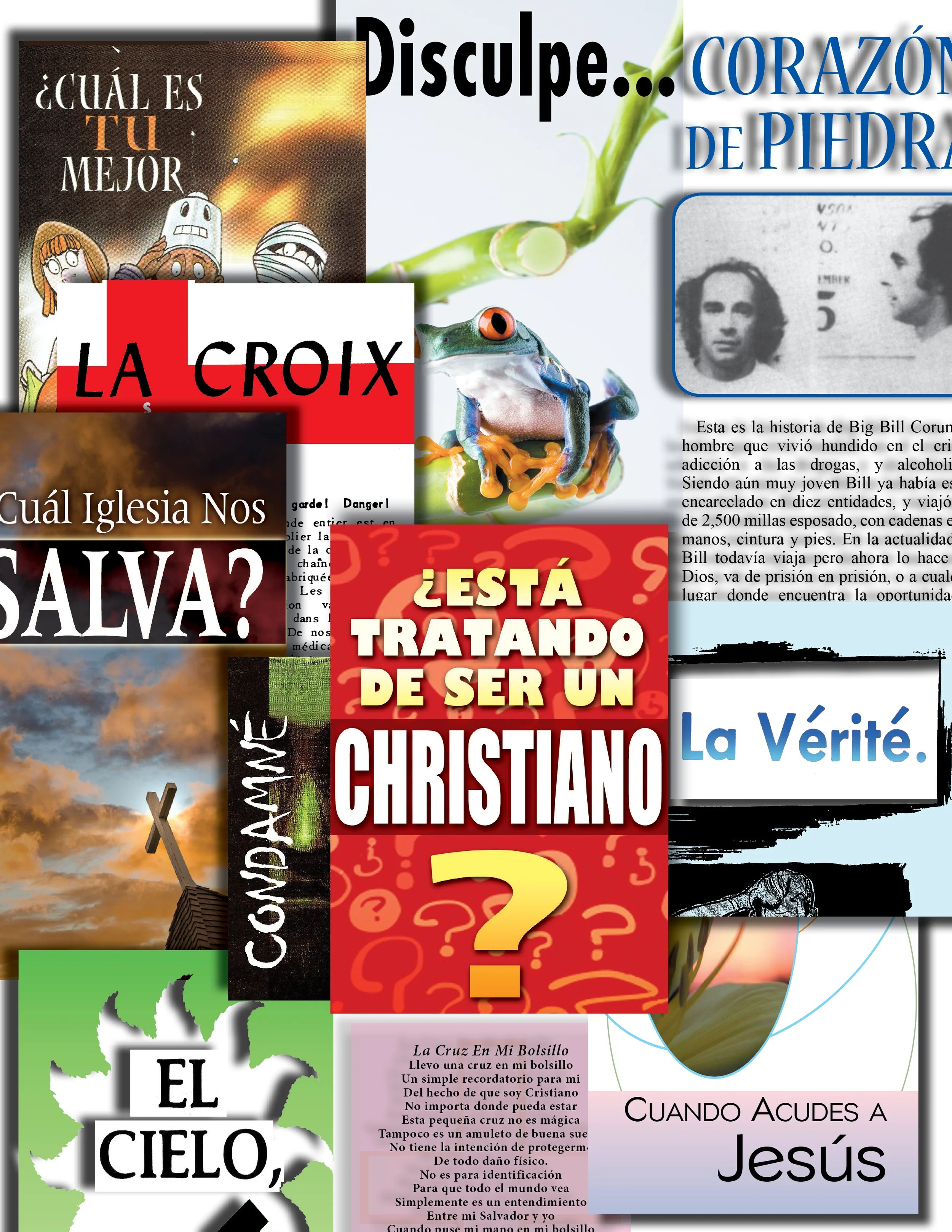 Spanish Sample Pack