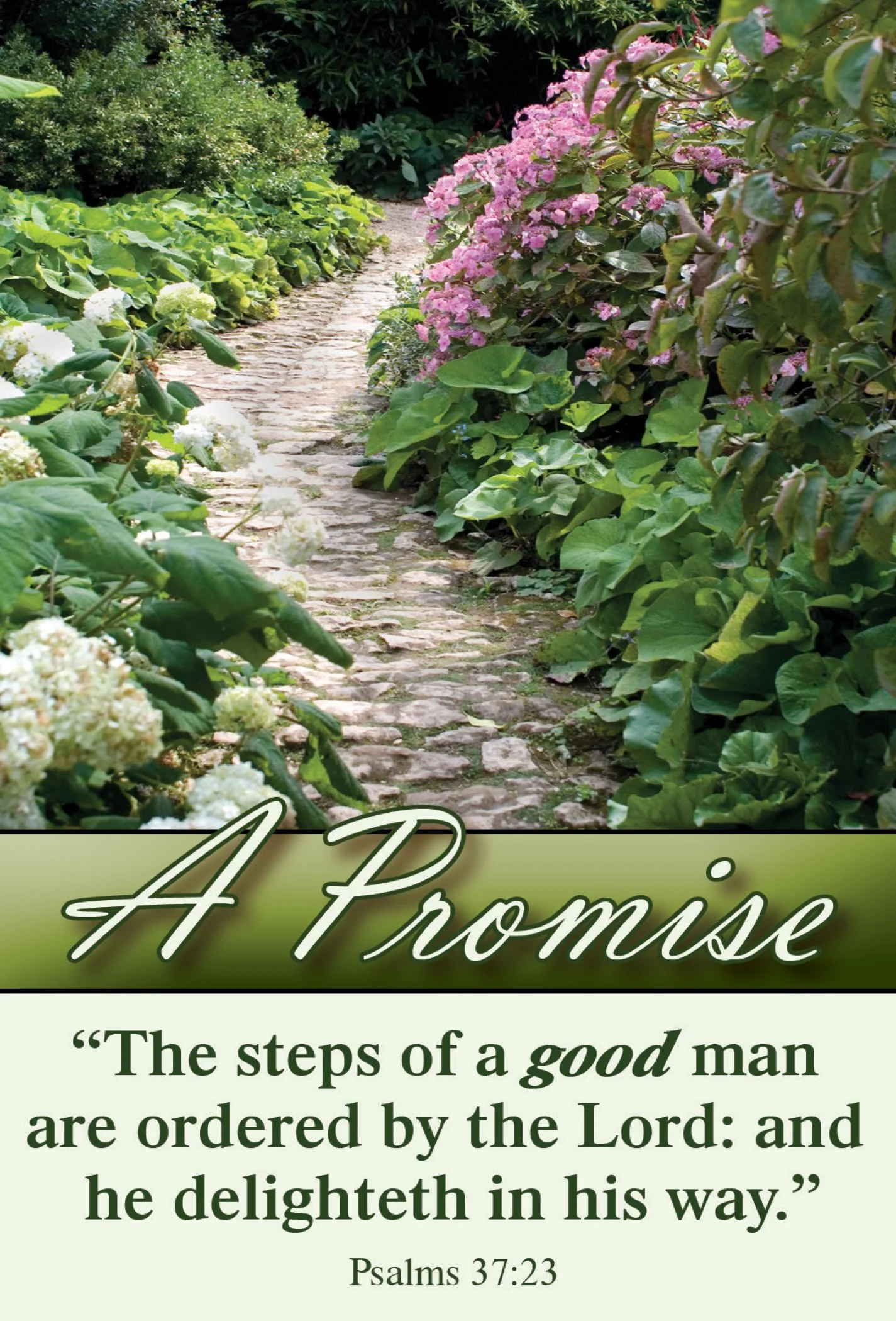 A Promise #615
