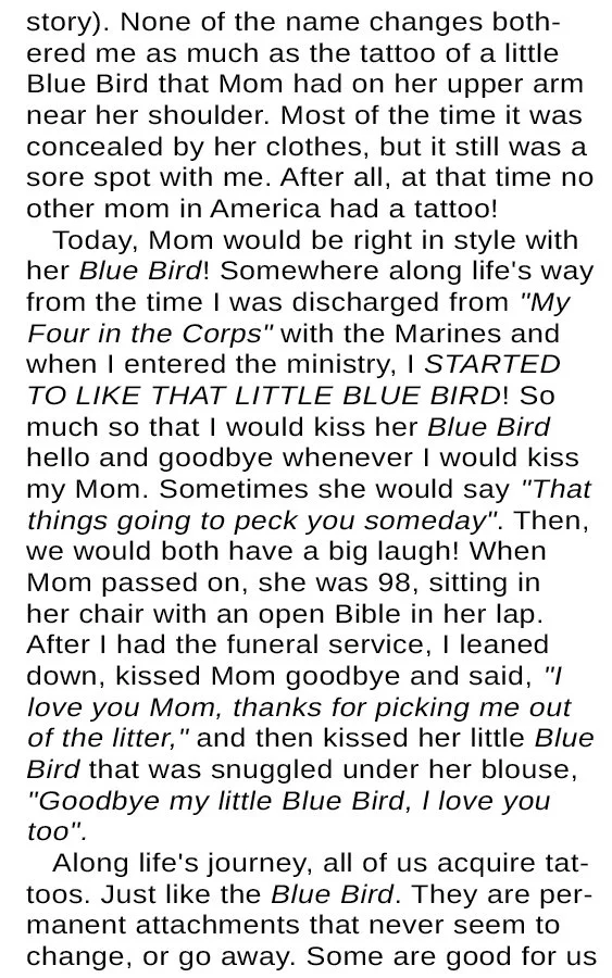Blue Bird of Happiness #1204 WEB SIZE Pg3.jpg