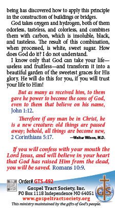 mysteries of gods creation4922.jpg