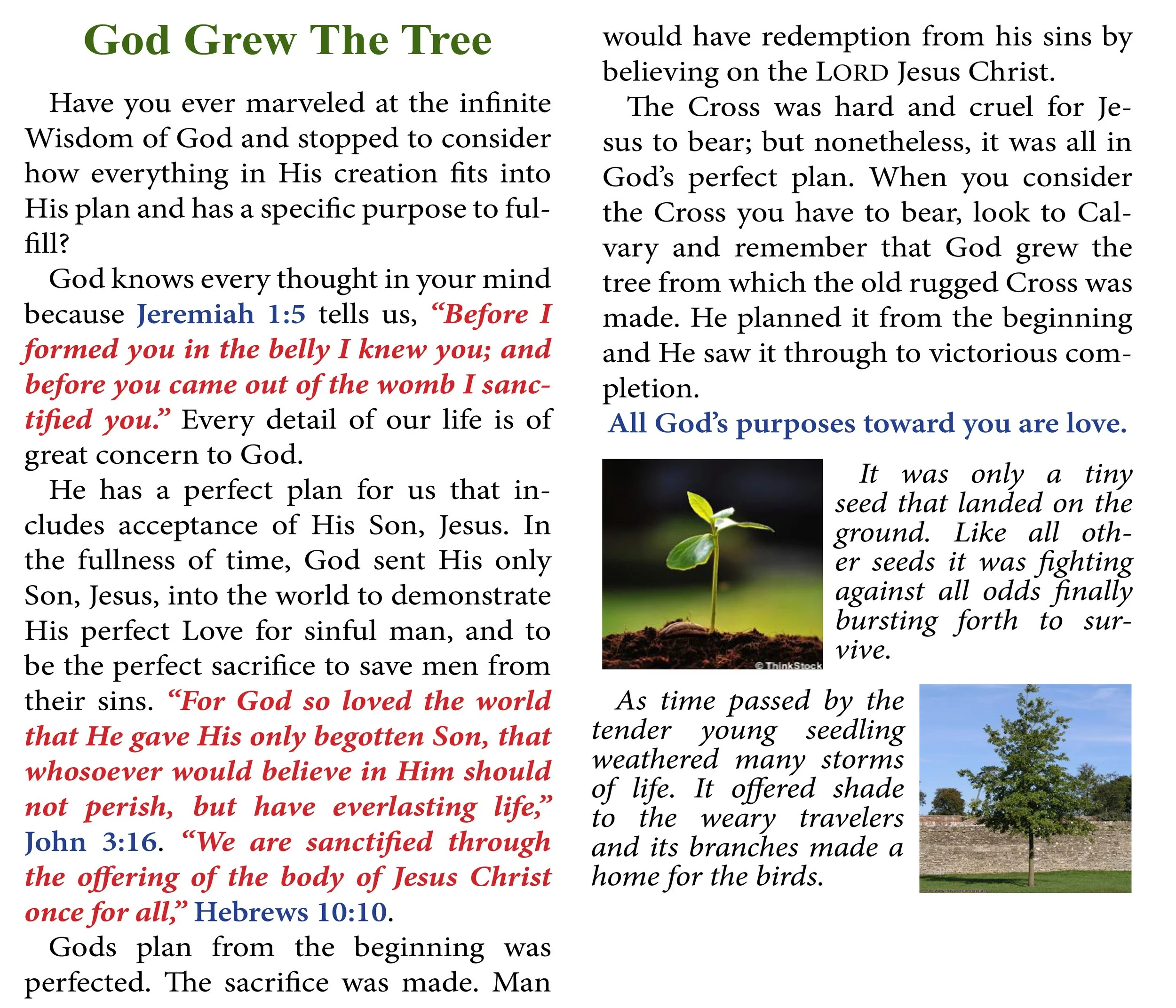 God Grew The Tree #468 WEB SIZE Pg2.jpg