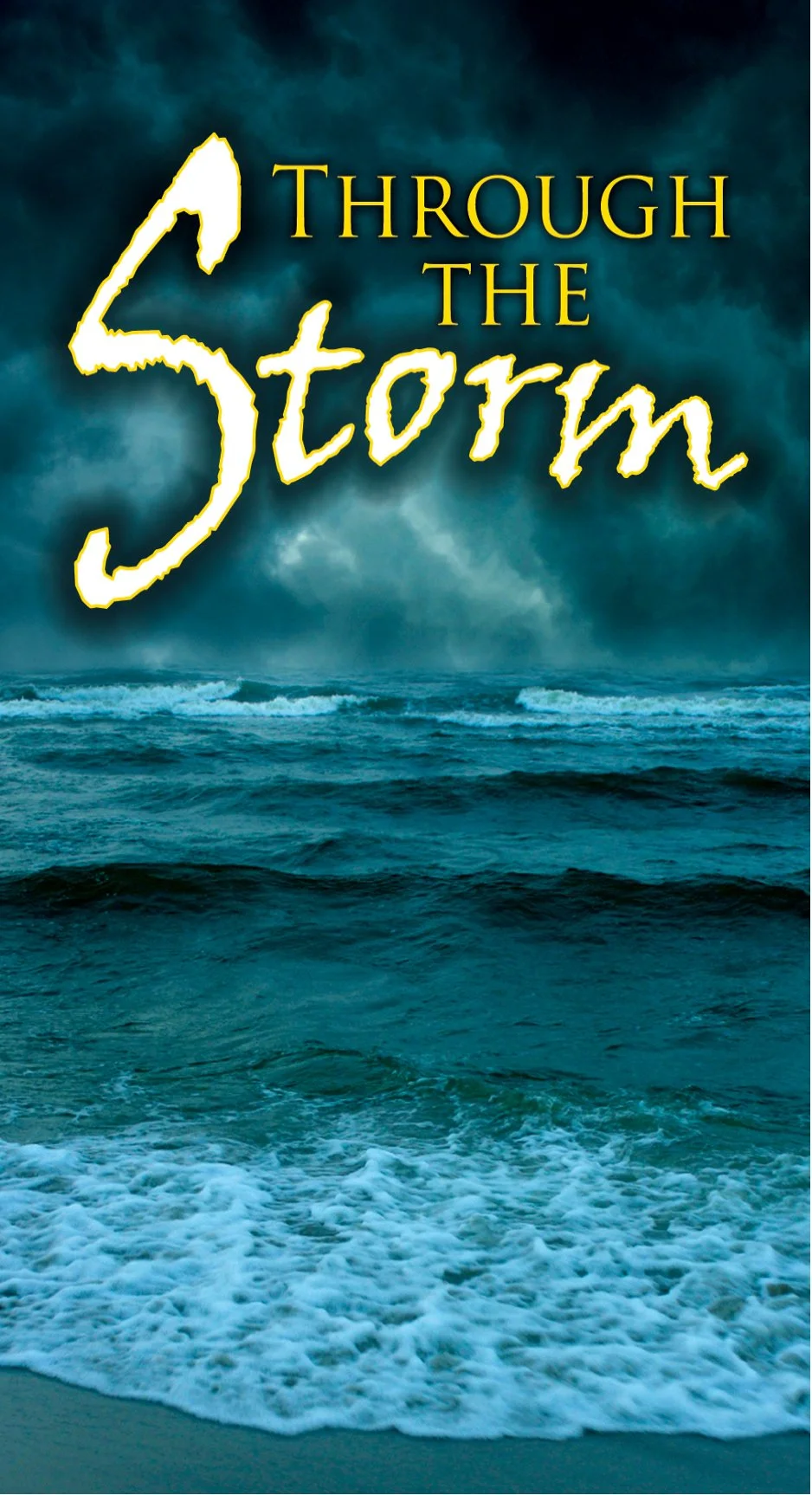 Through The Storm #31