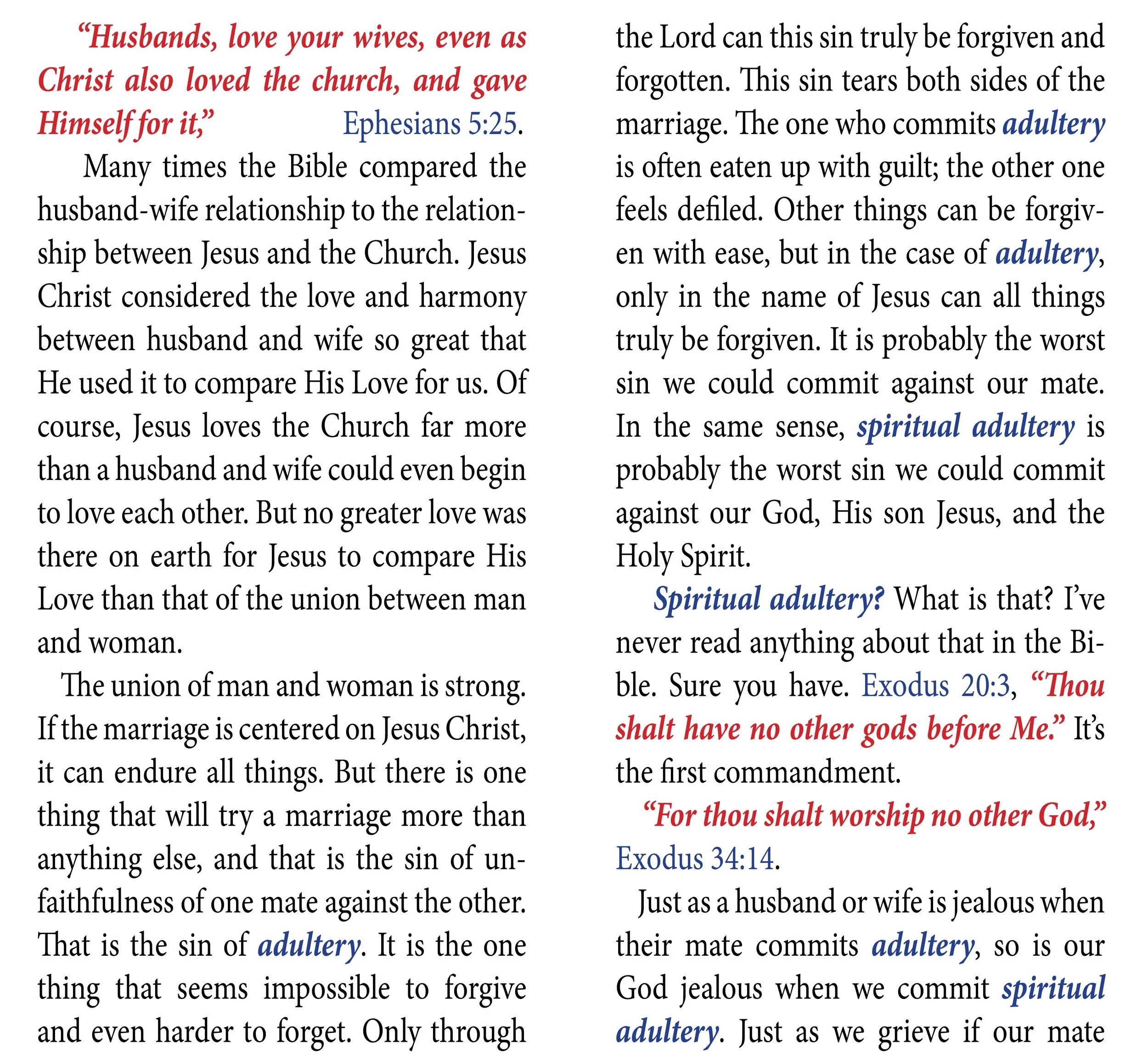 Blemished bride #120 WEB SIZE  pg2.jpg