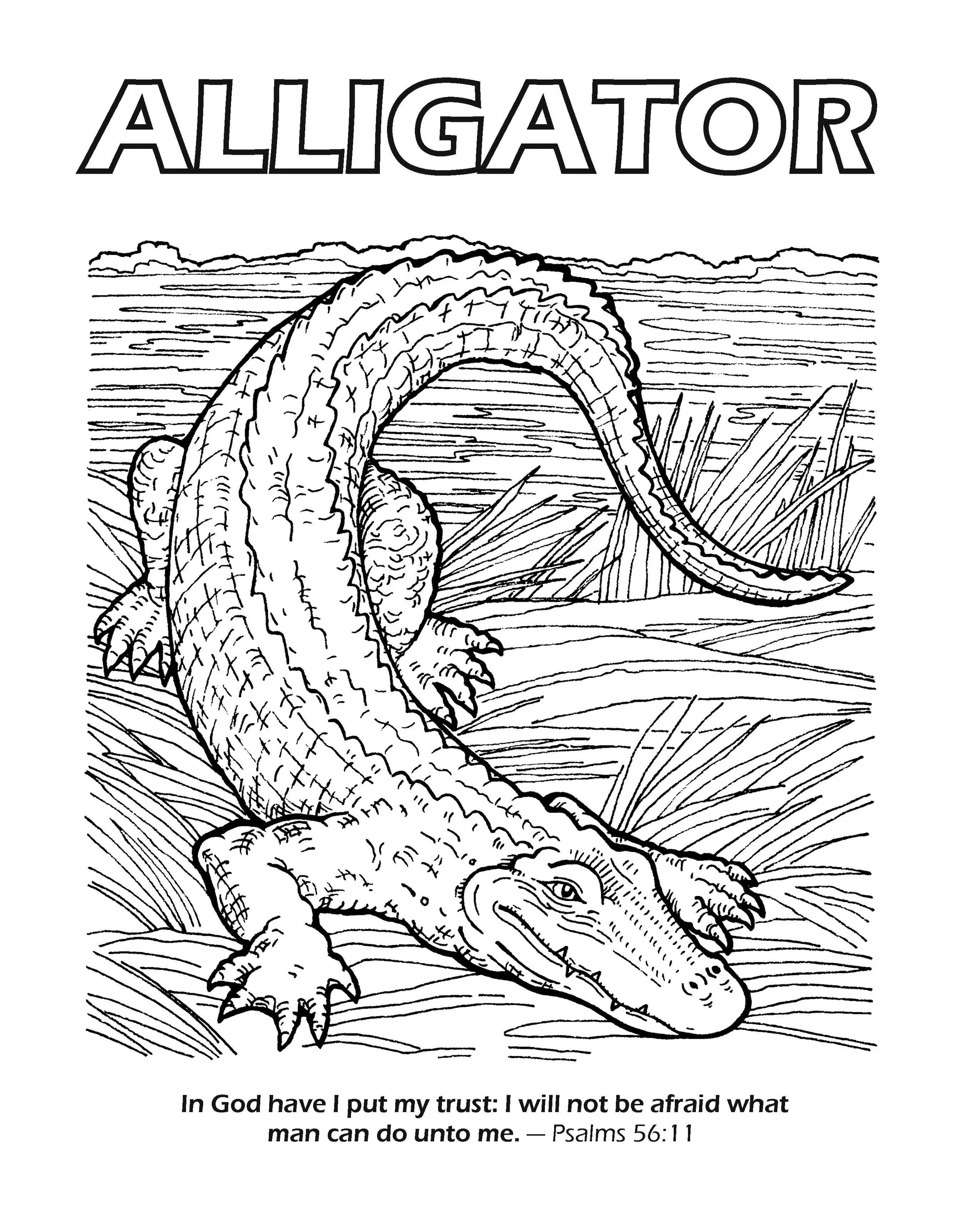 Gods Amazing Animals Coloring Book_Page_28.jpg