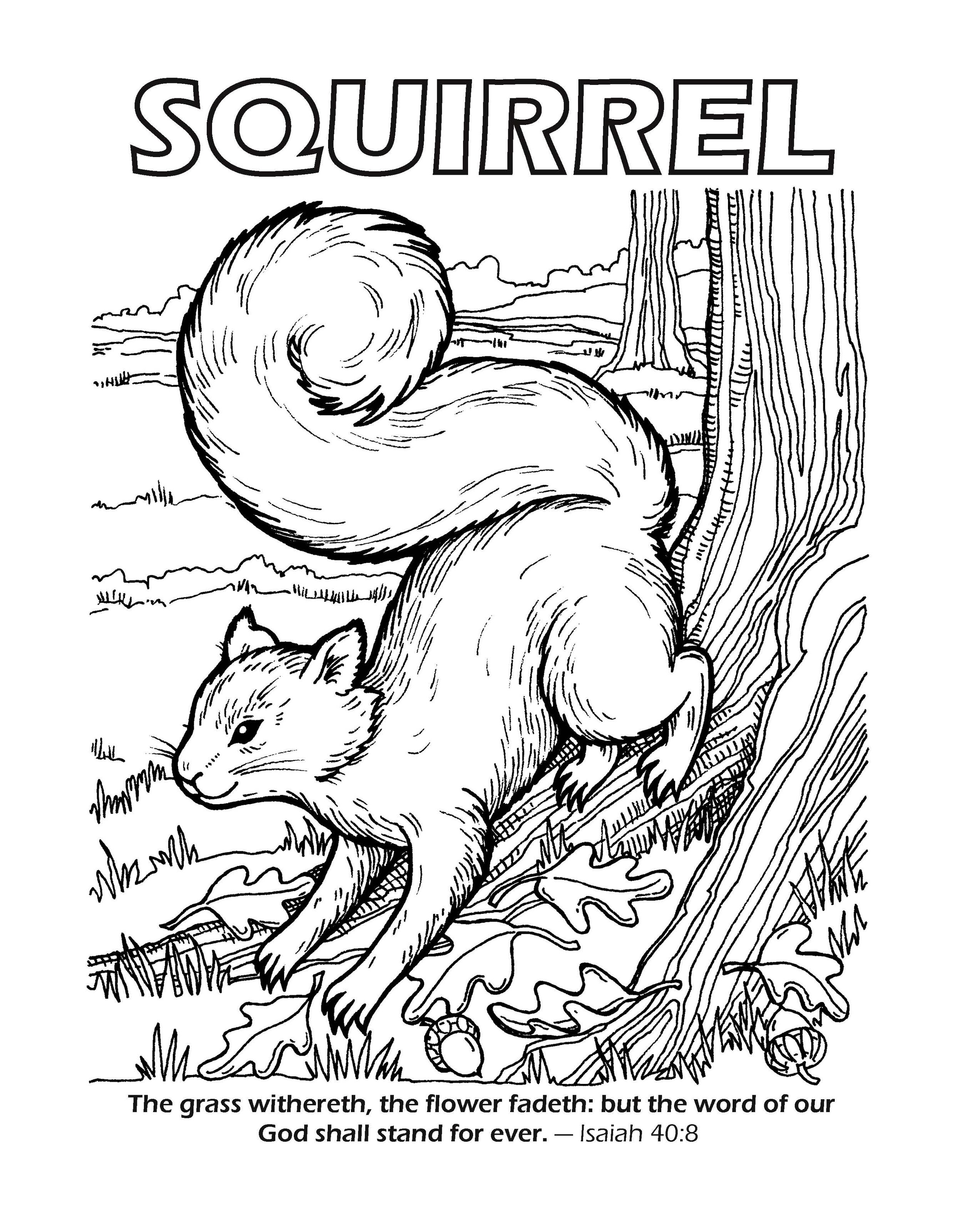 Gods Amazing Animals Coloring Book_Page_09.jpg