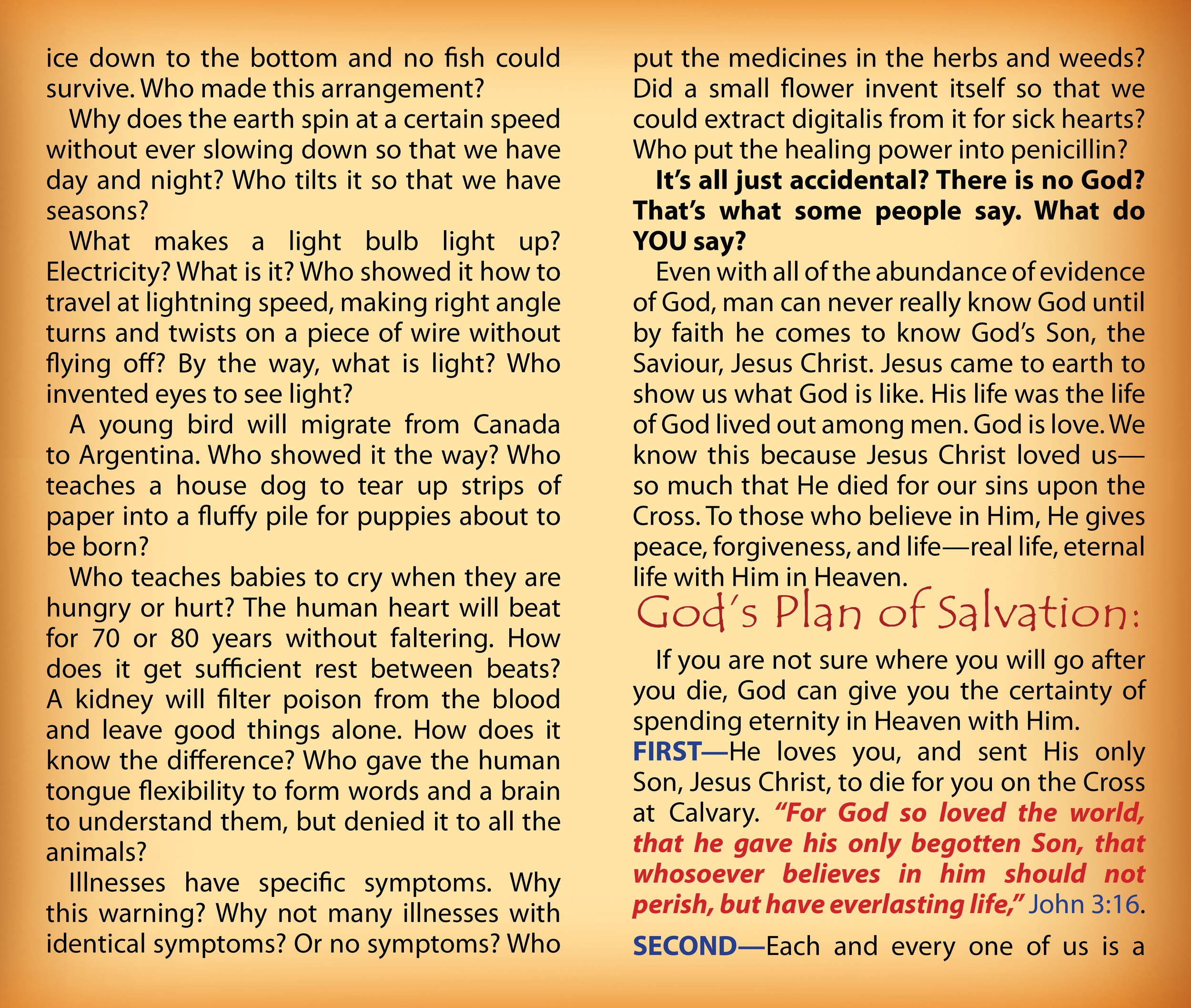There Is No God - 598  2.png