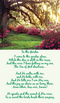 in the garden 637_.jpg