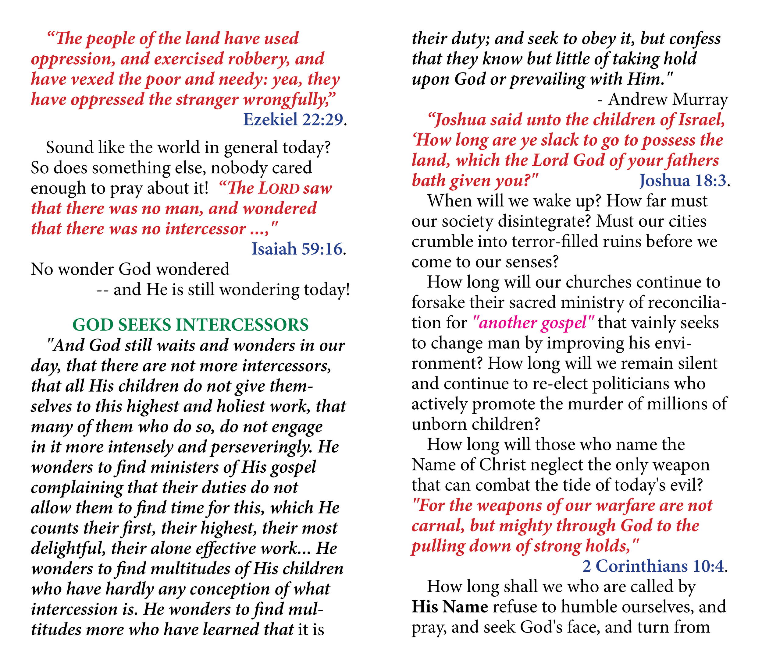 no wonder god wonders-962.png