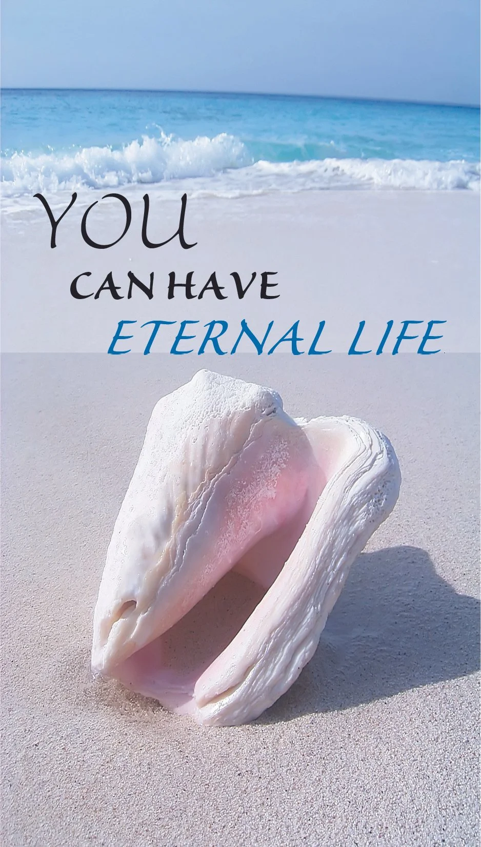 you can have eterenal life 595 pg 1.jpg