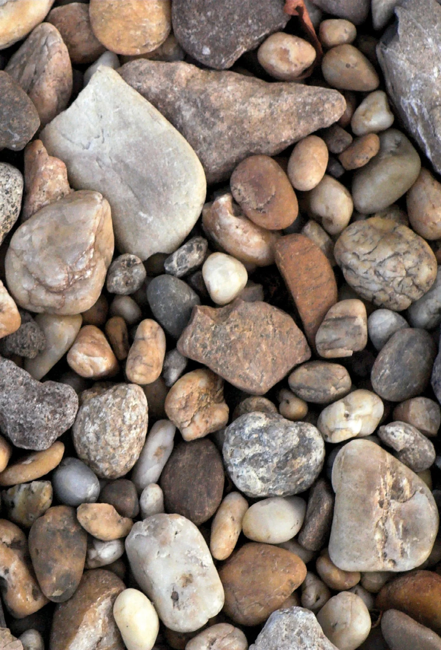 Rocks #23