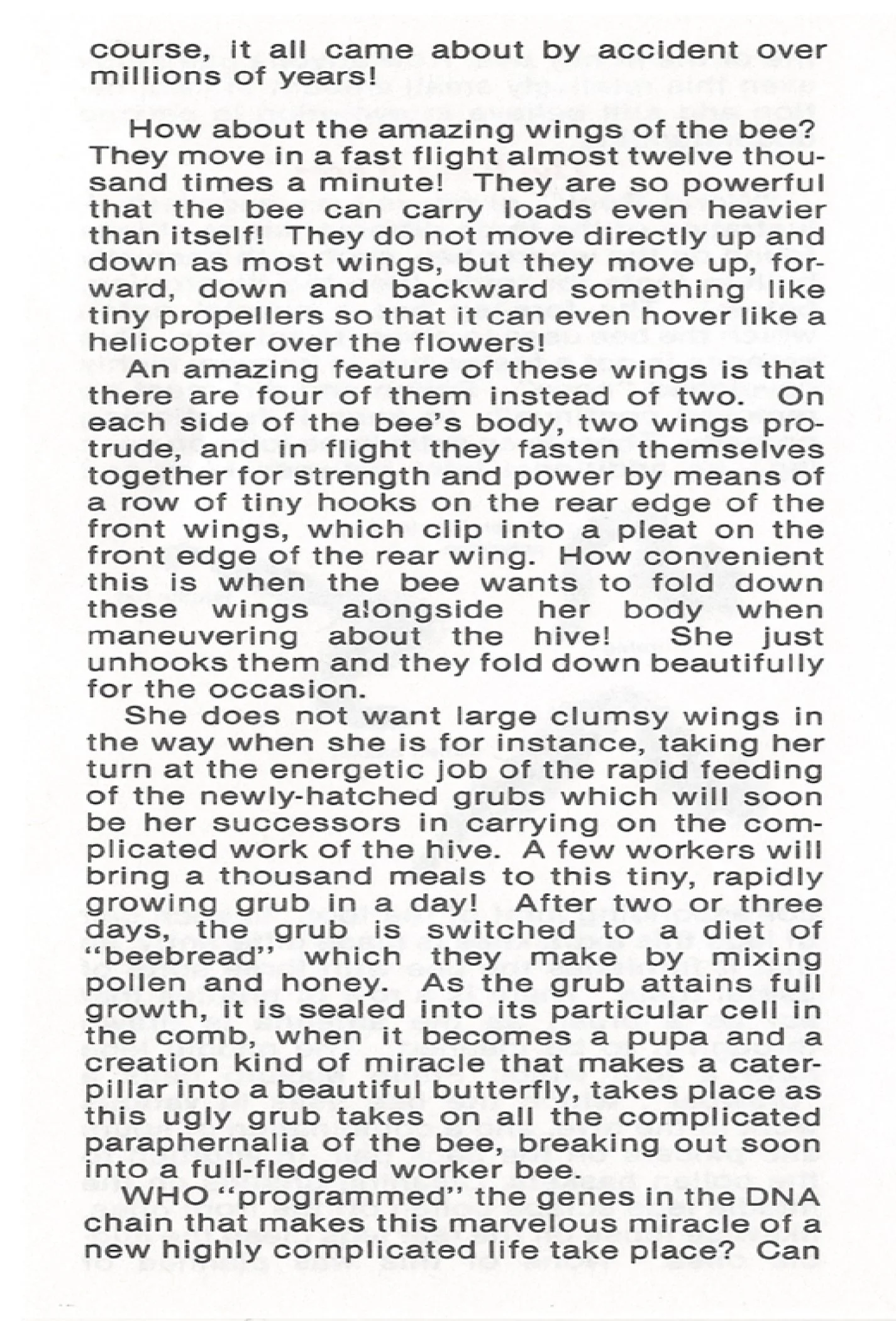 Darwins Fatal bee sting #1308 WEB SIZE pg4.jpg