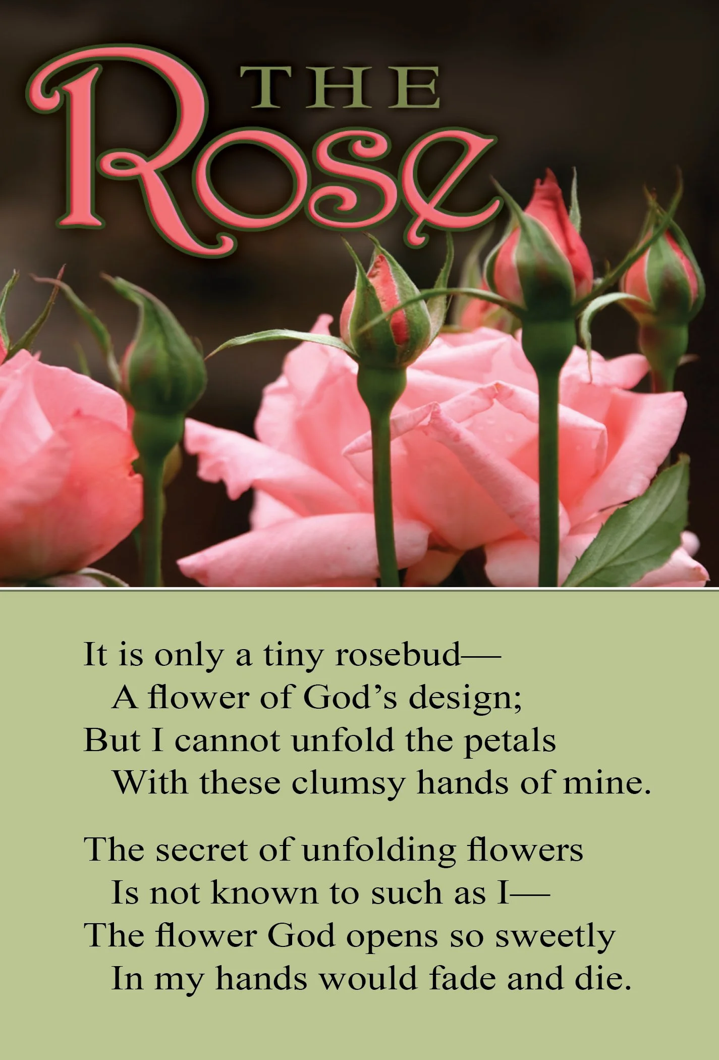 The Rose #718