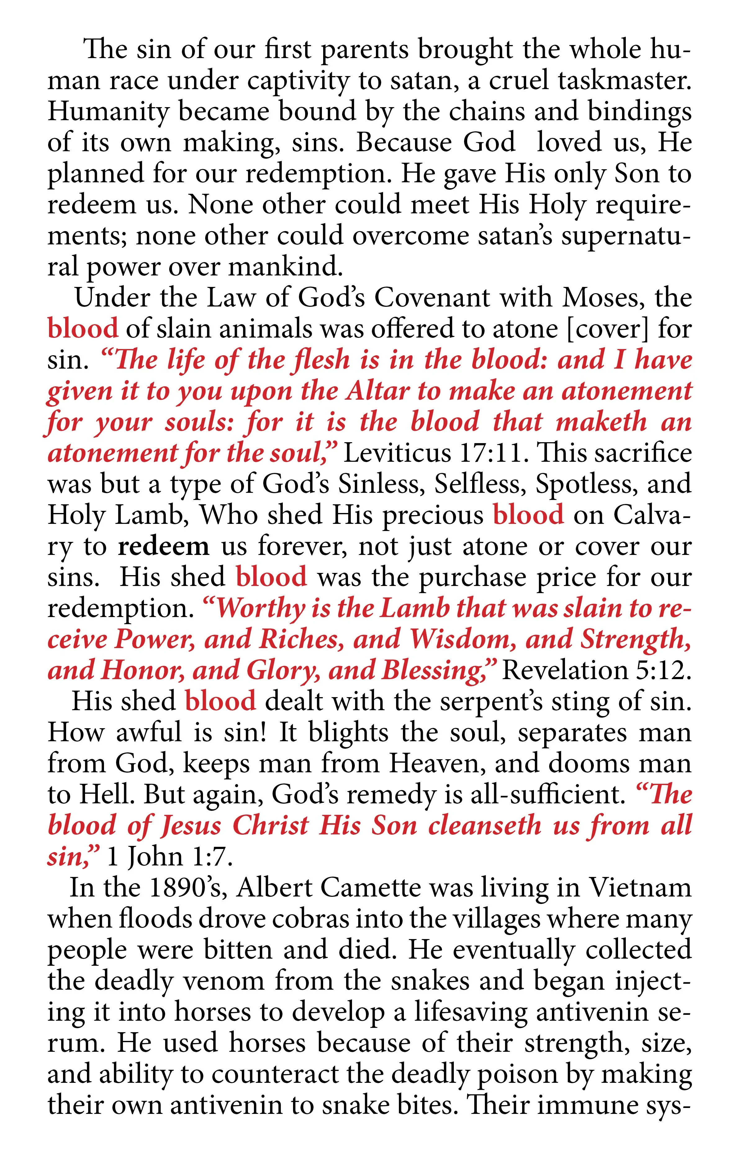 victory through the blood 128 - pg 2.jpg