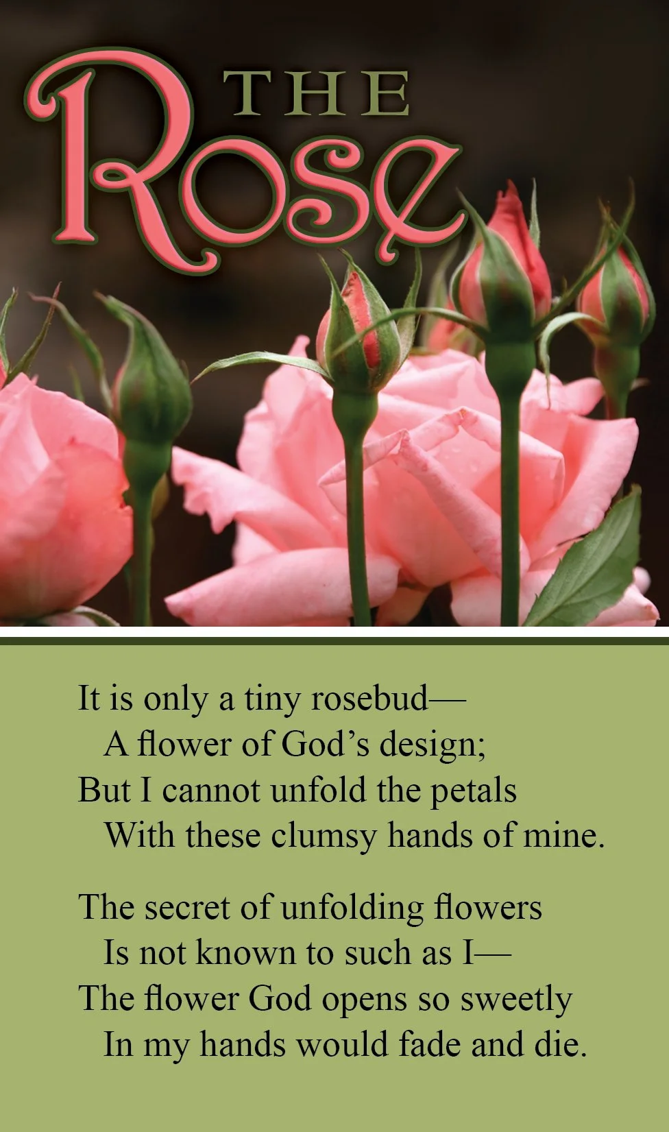 The Rose #718