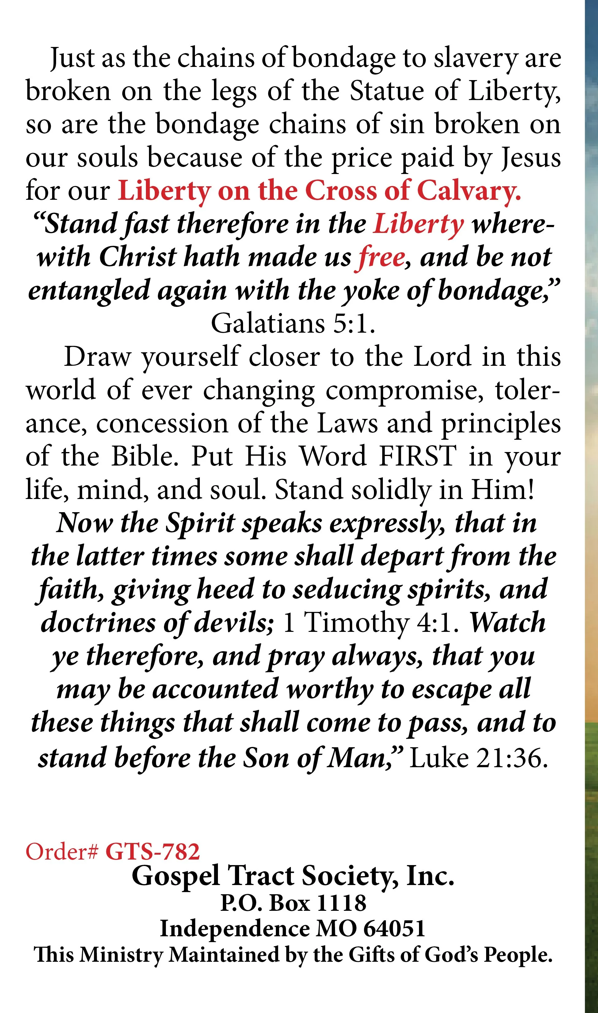 statue of liberty - 782 pg 6.jpg