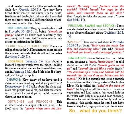 Are Dinosaurs In The Bible 1188_ 4-242.png