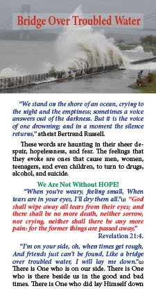 bridge ovr troubled water 488 - .jpg