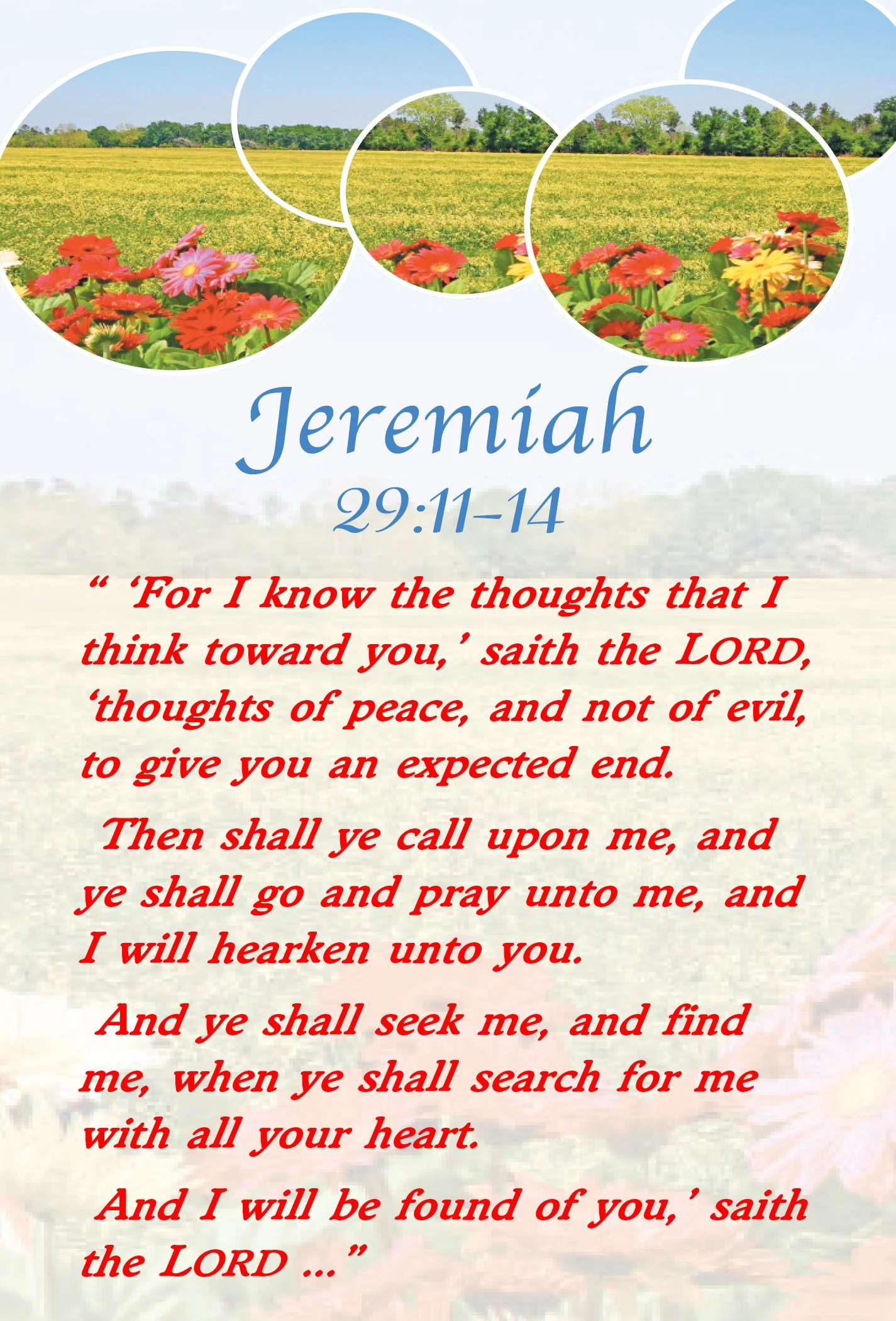 Jeremiah 29:11-14 #643