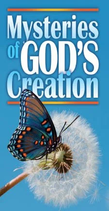 mysteries of gods creation492.jpg