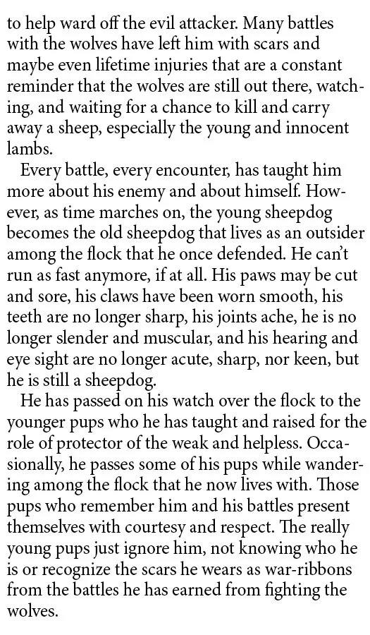 Sheepdogs Never Retire #1379 WEB SIZE Pg3.jpg