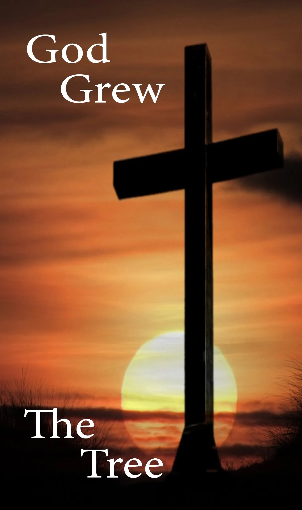 God Grew The Tree #468 WEB SIZE Pg1.jpg