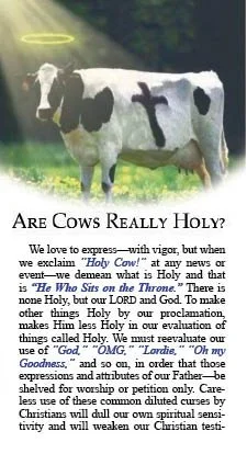 Are Cows Really Holy? #43