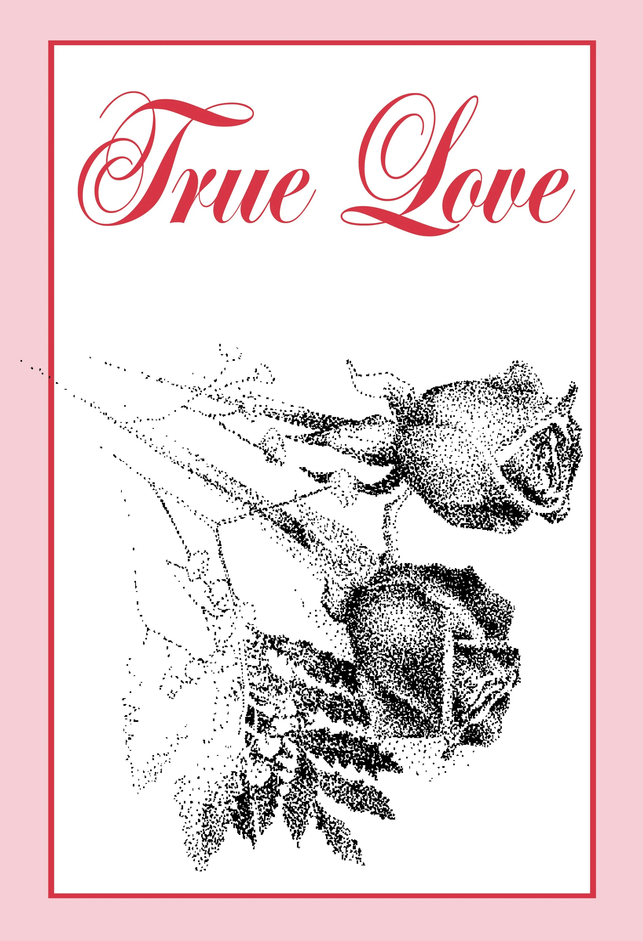 True Love #363
